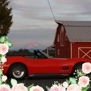 Meet your Posher, Betty